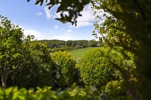 Photo 14- click for photo gallery